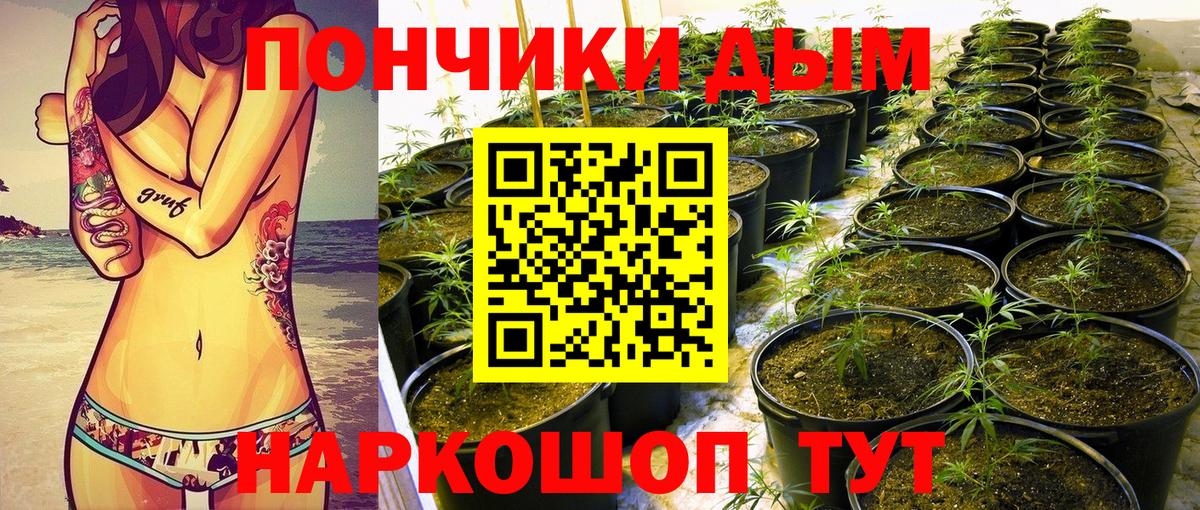Шишки марихуана Ganja  Шишки марихуана White Widow  Конопля сатива  Артёмовский  Вход с VPN  Марихуана Ganja 